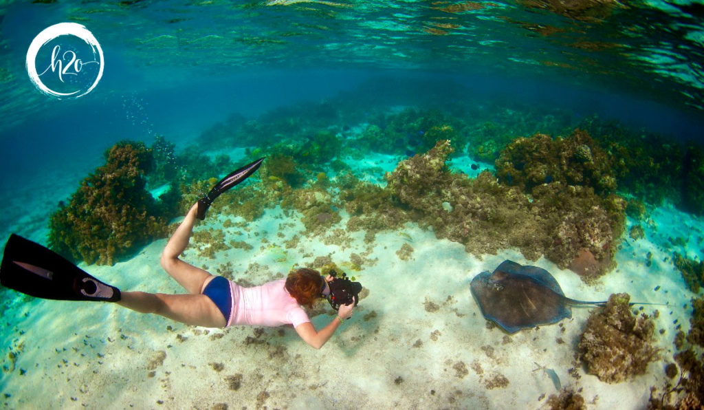 Favorite & Best BVI Snorkeling Spots