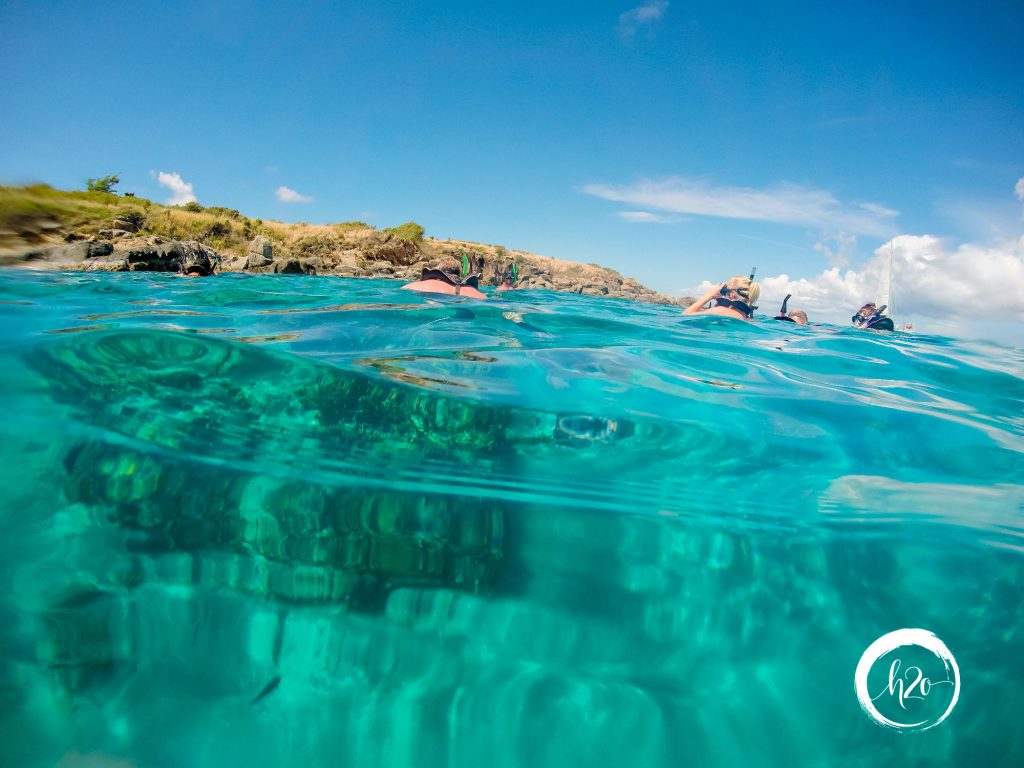 Snorkeling at Buck Island on your Virgin Island All Inclusive Vacation